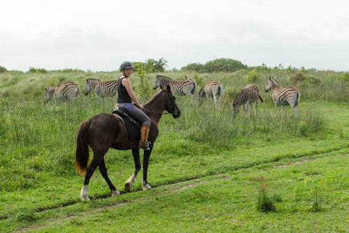 a woman riding a horse in front of a herd of zebras at Little Eden St Lucia in St Lucia