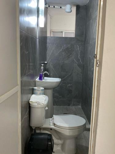 a bathroom with a toilet and a sink at Departamento vacacional in Mazatlán