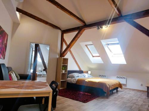 Spacious Historic Attic Loft in City Center 62 m