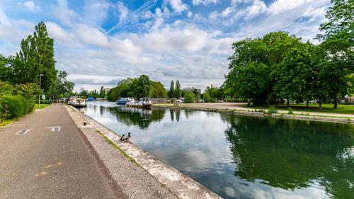 une rivière avec un canard nageant dans l'eau dans l'établissement Rameau - Authentique et confort, à Dijon