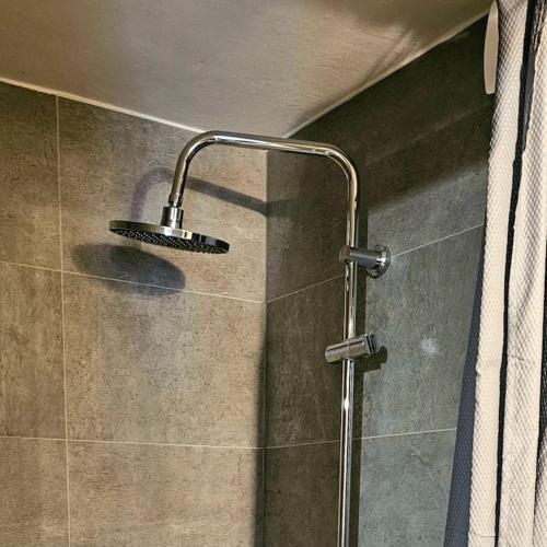 une douche avec pommeau de douche dans une salle de bain dans l'établissement Appartement Les Chats Hayange, à Hayange