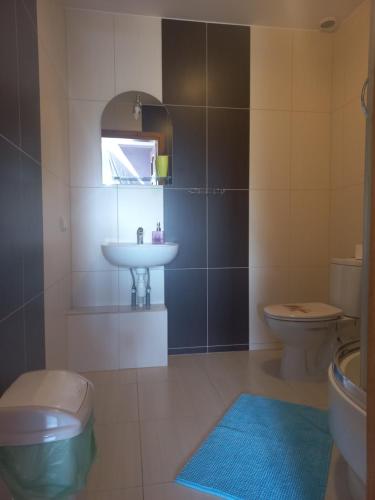a bathroom with a sink and a toilet at Robi pokoje i apartament in Łeba