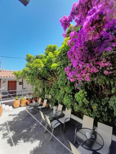 Jardín al aire libre en Iliada