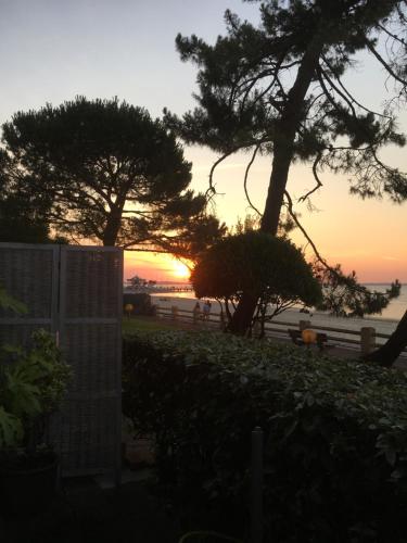un coucher de soleil sur l'eau avec deux arbres dans l'établissement Arcachon bord de plage, à Arcachon