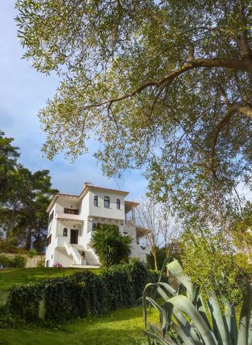 Casa at the top of the hill