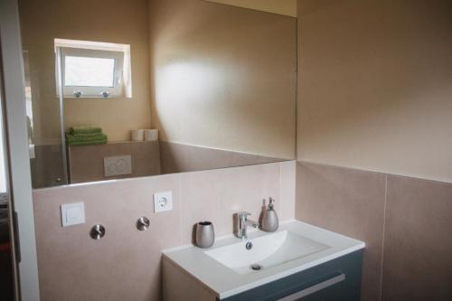 a bathroom with a sink and a mirror at Gasthaus am Henriettenhof in Grömitz