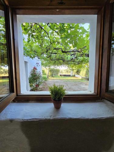 a window with a potted plant sitting on a window sill at Cortijo del Cura By Travel Home in Cortijos Nuevos