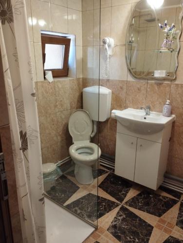 a bathroom with a toilet and a sink and a mirror at Vila Florelena in Năvodari