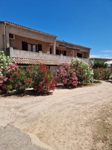 Rez de villa avec jardin