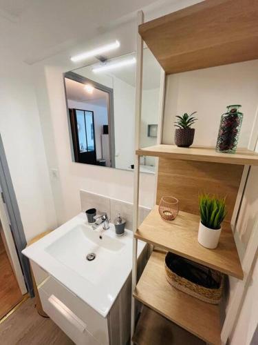 une salle de bain avec un lavabo et un miroir dans l'établissement Grand Studio -Le François II - Proche Centre ville, à Limoges