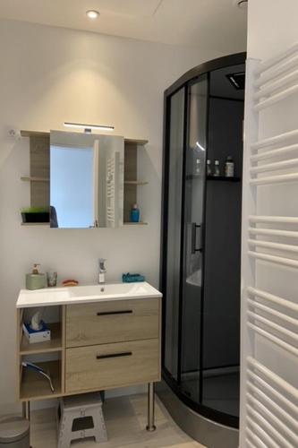une salle de bain avec un lavabo et une douche dans l'établissement Appartement dans maison d'architecte avec terrasse, à Saint-Lunaire