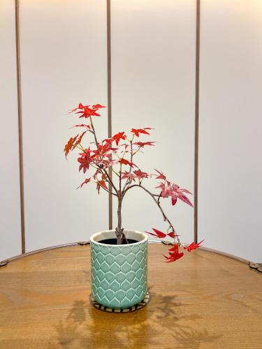 a plant in a blue pot on a table at Hotel Ganwoljae in Ulsan