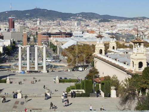 Bright Apartment near Plaça Espanya