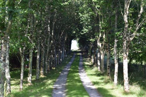 Imagen de la galería de The Old Wood Store, en Helston