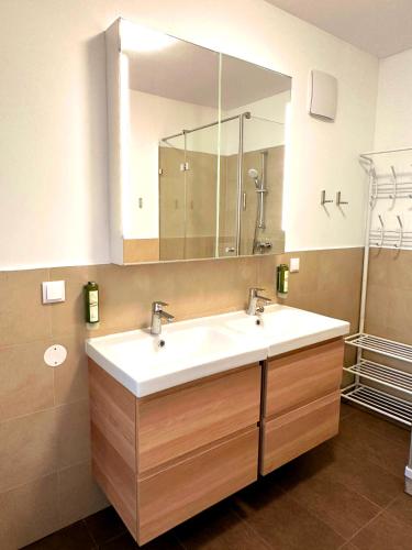 a bathroom with a sink and a mirror at Jimmy's Apartments Dandelion in Vienna