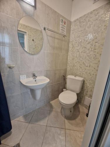 a bathroom with a toilet and a sink at La Maison Ruse in Ruse