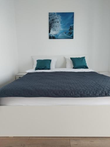 a white bedroom with a large bed with blue pillows at Cabana Doris Coronini in Moldova Veche