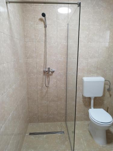 a shower stall with a toilet in a bathroom at Cabana Doris Coronini in Moldova Veche
