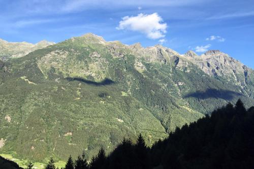 a mountain with trees in front of it at Maiensäss, Berghütte Pundelon - autark, voll ausgestattet, Ressourcen begrenzt in Mesocco