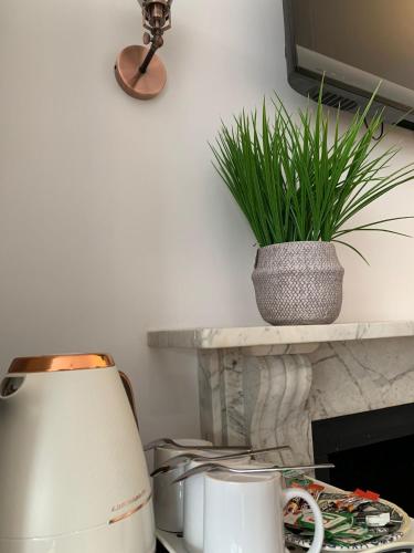 a table with a lamp and a plant on a shelf at Relax Inn Guest House in Brighton & Hove