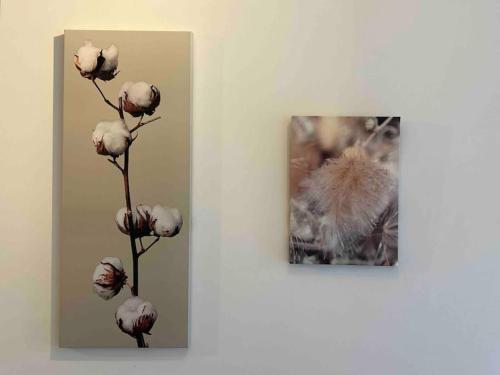 une image d'une fleur sur un mur à côté d'une image dans l'établissement Le Voltaire, à Dijon