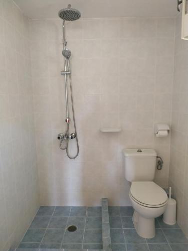 a bathroom with a toilet and a shower at Ourania Sea Breath in Punta