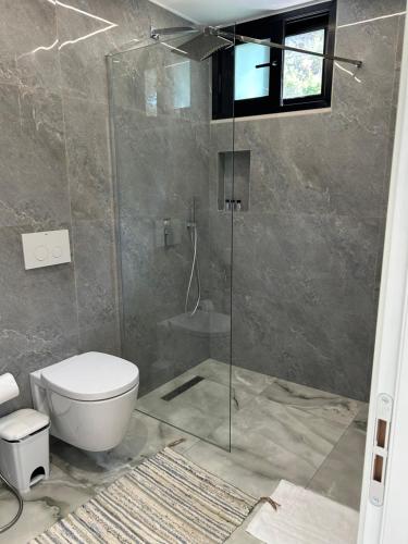 a bathroom with a toilet and a glass shower at Villa The Old Bakery in Qeparo