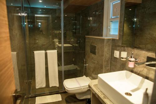 a bathroom with a shower and a toilet and a sink at Pan Asia Continental in Kolkata