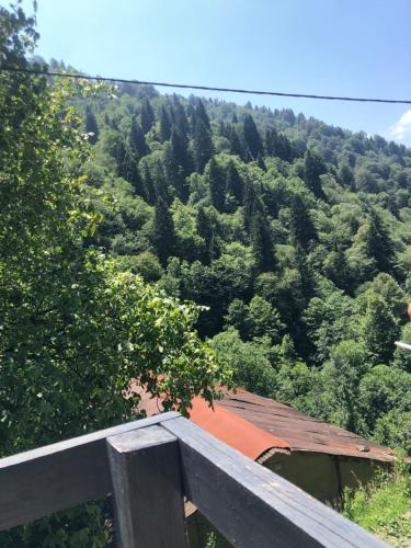 Táj az apartman közelében