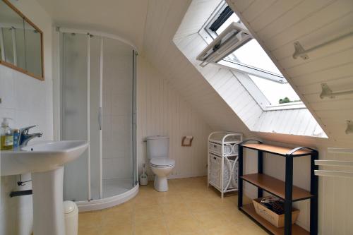 La salle de bains mansardée est pourvue d'une douche et de toilettes. dans l'établissement Hurlevent - Maison vue mer, à Fréhel