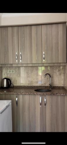 a kitchen with a sink and wooden cabinets at FA-BA Apart Otel in Çamlıhemşin
