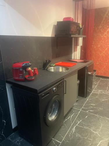 une cuisine avec un évier et une machine à laver dans l'établissement Désirs dune nuit - La séductrice, à Cagny