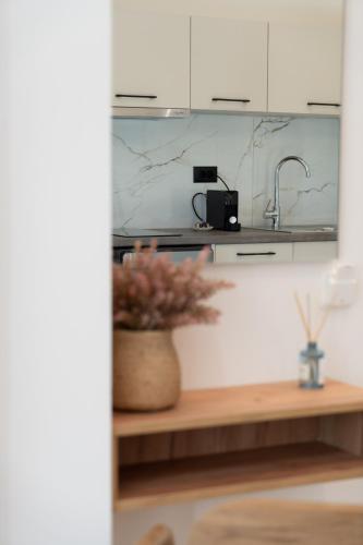 a kitchen with a sink and a counter with a plant at Aetheria Suites in Parga