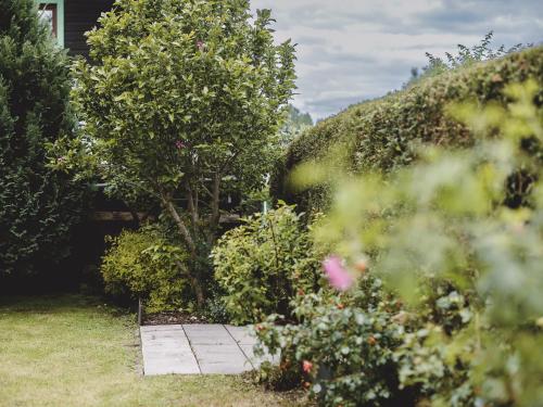 a garden with a tree and some bushes at Chalet Naila by we rent in Bruck an der Großglocknerstraße