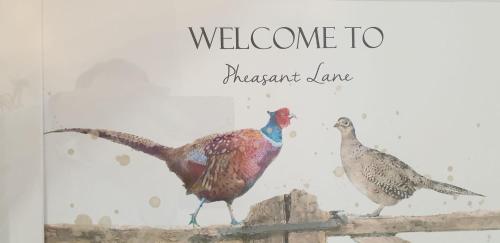 two birds walking on a fence with the words welcome to dinosaur jam at Iris Cottage in Ráistín
