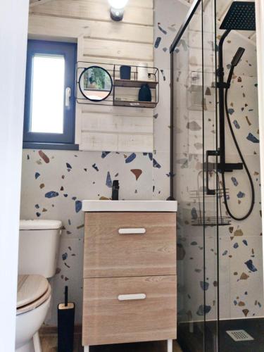 a bathroom with a toilet and a shower in it at Transfăgărășan River Retreat in Arefu