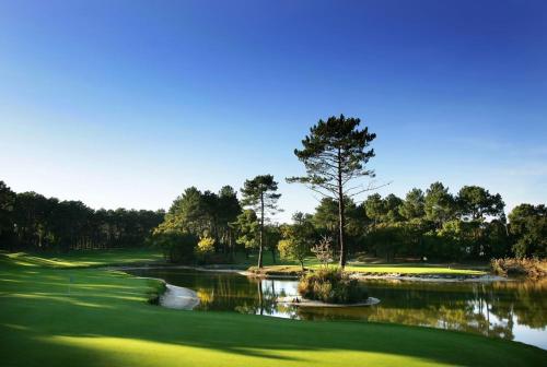 a green golf course with a pond and trees at Villa de l'Etang Blanc in Seignosse