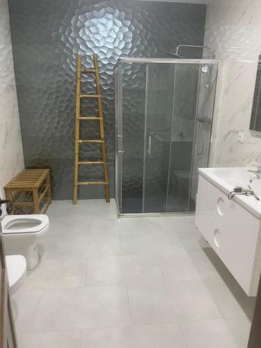 a bathroom with a shower and a toilet and a ladder at Casa Rural en Casasimarro in Casasimarro