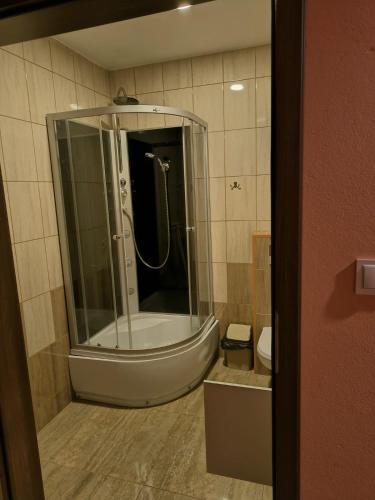 a bathroom with a shower and a toilet at Sis Dziwnowek in Dziwnówek