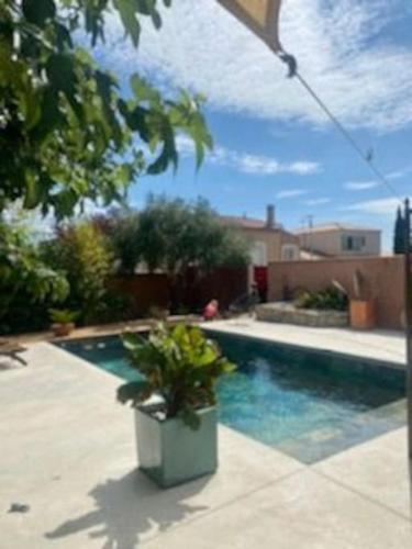 - une piscine avec une plante en pot dans une cour dans l'établissement villa piscine et cuisine d'été, à Sigean
