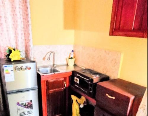 Η κουζίνα ή μικρή κουζίνα στο Atrium Apartment central free parking