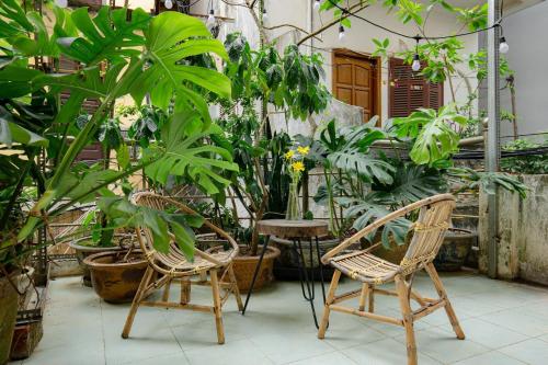 Vrt ispred objekta Sisan Homestay 294 Kim Mã Ban công thư giãn