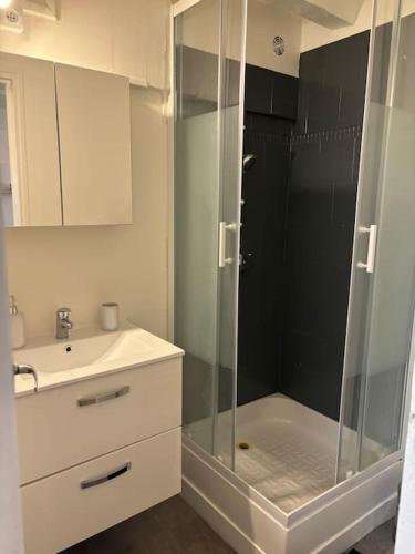 a bathroom with a glass shower and a sink at Studio Cosy Beauvoisine in Rouen