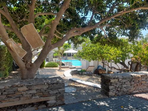 a tree with a stone wall next to a pool at Roses Beach in Parikia