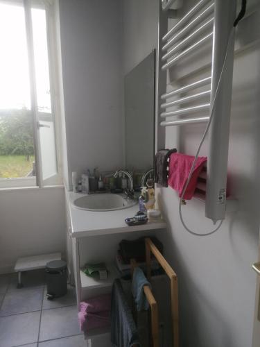 a bathroom with a sink and a mirror at Natur und Sterne in Arleuf