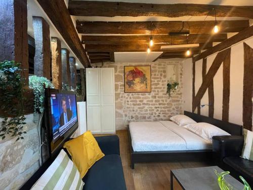 Amélie - Authentic 2BR Saint-André des Arts Historic Courtyard