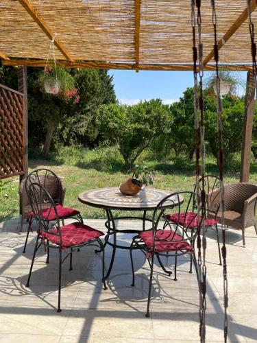 a table and chairs with a cat sitting on top of it at Azienda Agricola Neocastrum in Lamezia Terme