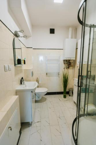 a bathroom with a sink and a toilet and a shower at Apartamenty Krzywa in Krosno