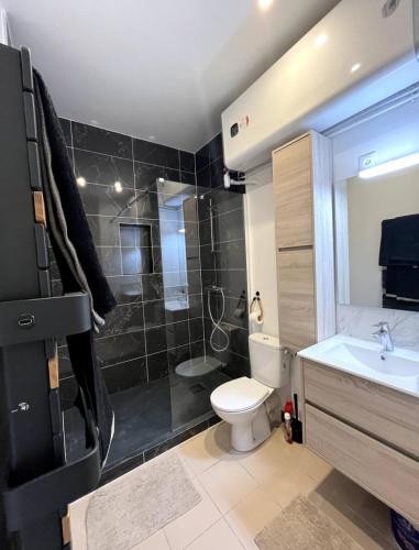 une salle de bain avec toilettes, douche et lavabo dans l'établissement Appartement à deux pas du château à Versailles, à Versailles