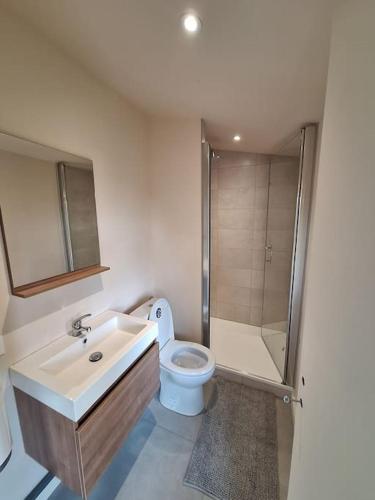 une salle de bain avec un lavabo, des toilettes et une douche dans l'établissement Le Clos de la Borie, à Saint-Antoine-de-Breuilh